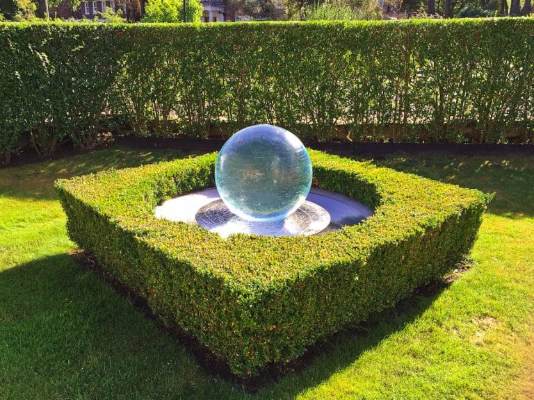Box Hedge Topiary Aqualens