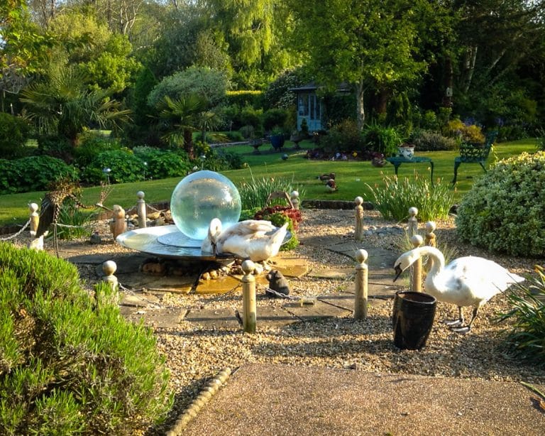 Swan in an Aqualens Sphere Fountain near Salisbury UK