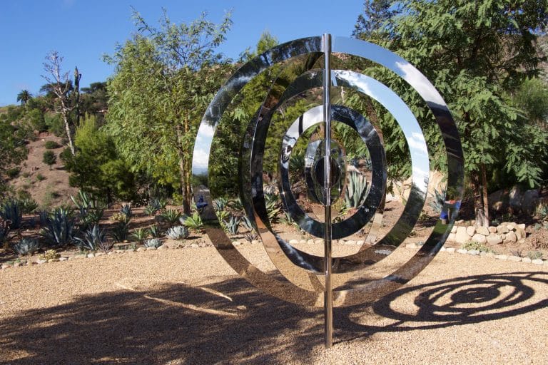 Concentric Circles in My Garden