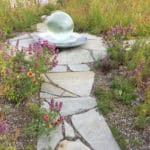 Aqualens on Rooftop Garden Habitat in Brooklyn, NY