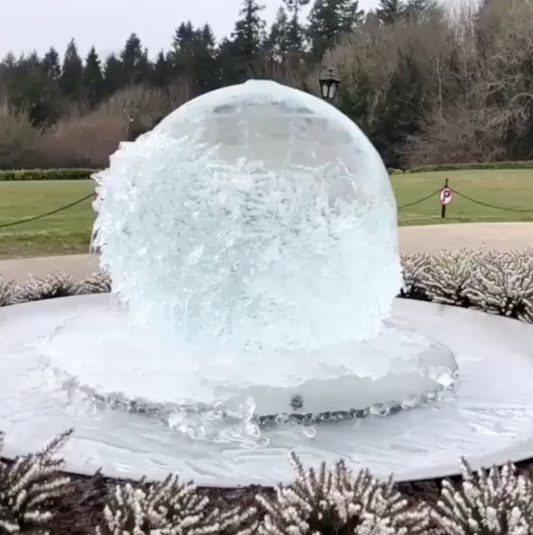 Ice Sculpture Aqualens