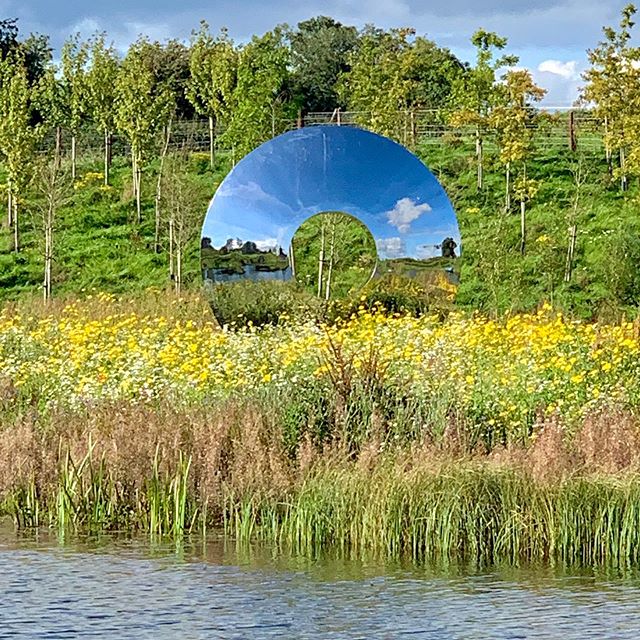 Eye