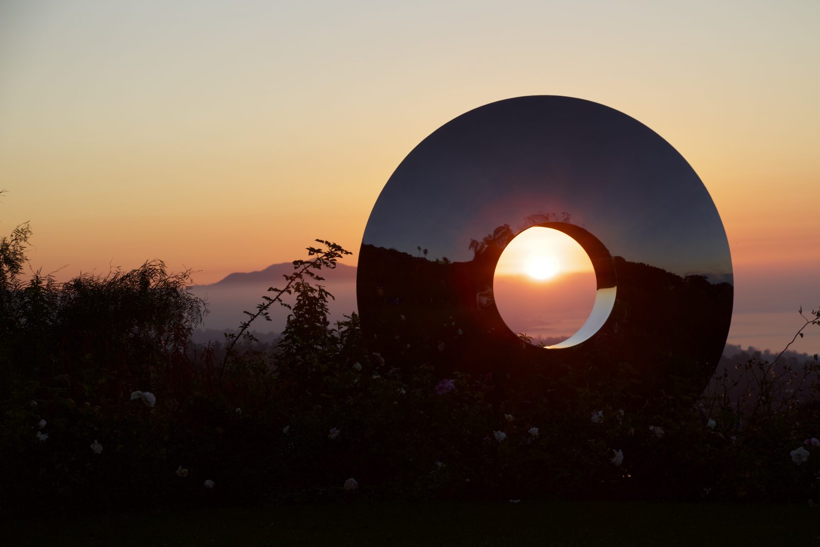 Steel Eye Reflections
